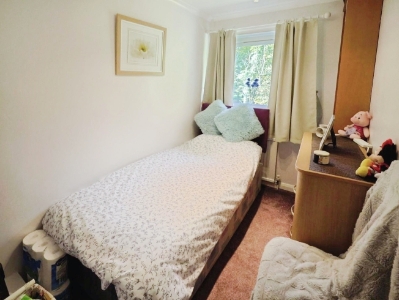 Picture 8